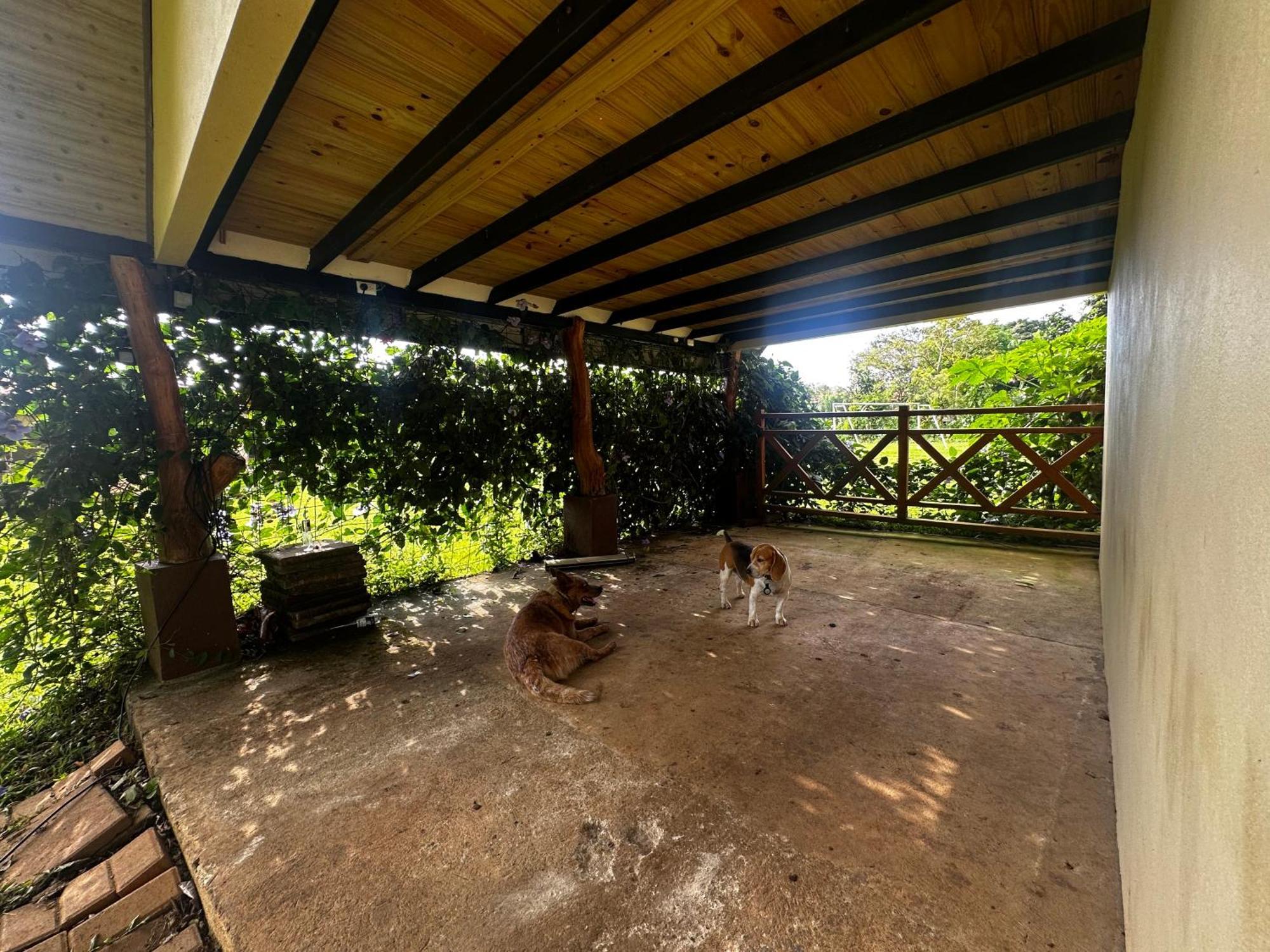 Apartament Modern Loft Inside A Beautiful Farm General Viejo Zewnętrze zdjęcie